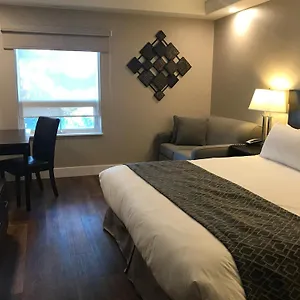 Chateau Louis Hotel&conference Centre Hotel